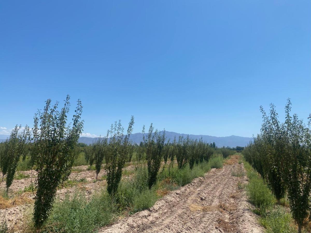 El Rincon Del Nene Villa Albardón Esterno foto